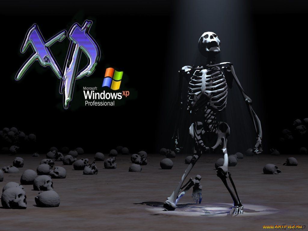 windows, xp, 